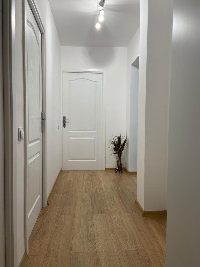 סיגישוארה Daniela'S Apartaments מראה חיצוני תמונה