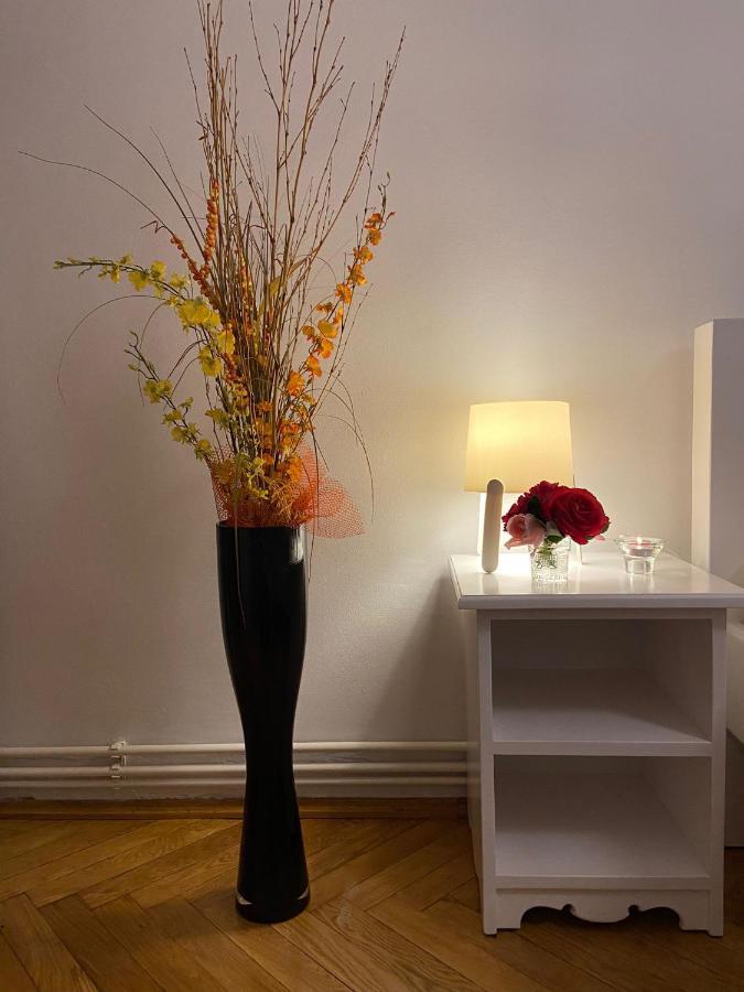 סיגישוארה Daniela'S Apartaments מראה חיצוני תמונה