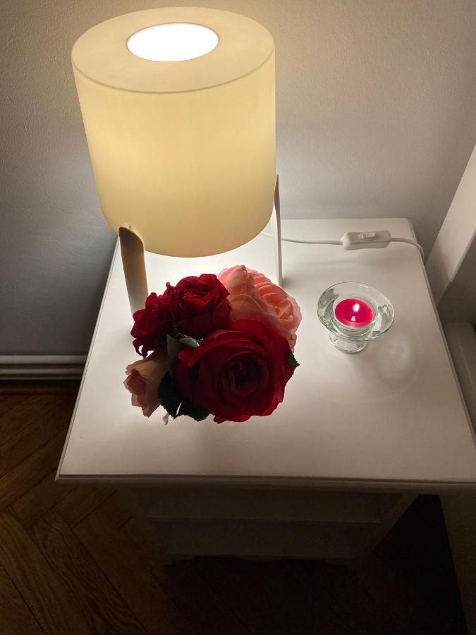 סיגישוארה Daniela'S Apartaments מראה חיצוני תמונה
