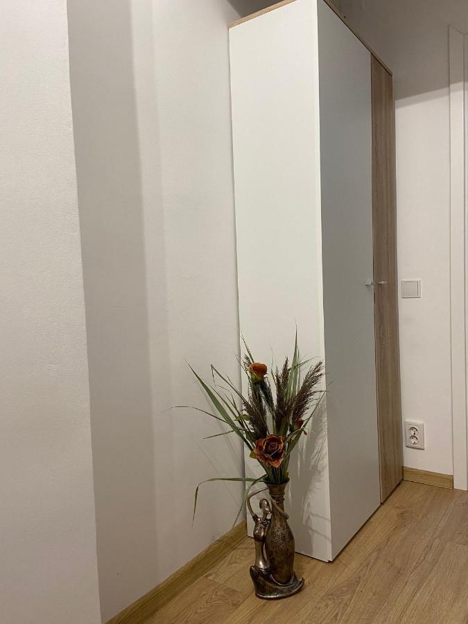 סיגישוארה Daniela'S Apartaments מראה חיצוני תמונה