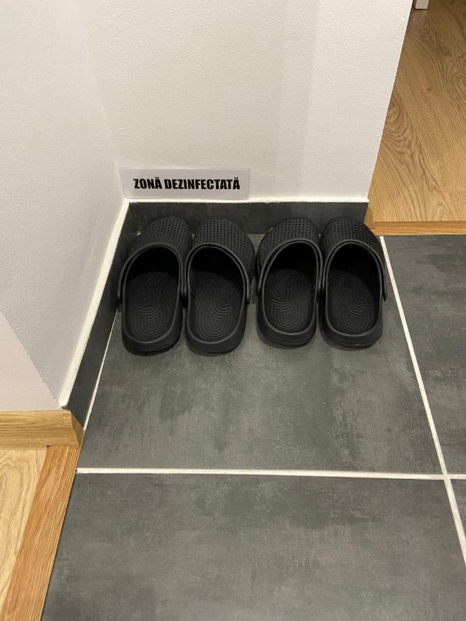 סיגישוארה Daniela'S Apartaments מראה חיצוני תמונה