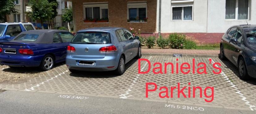 סיגישוארה Daniela'S Apartaments מראה חיצוני תמונה